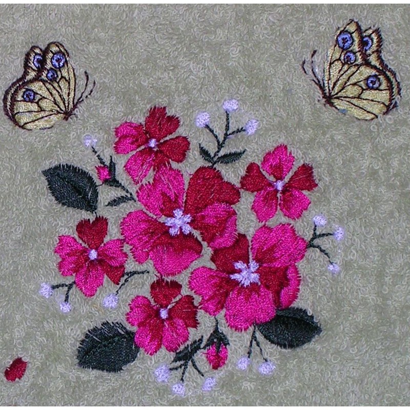 Punakimppu ja perhoset